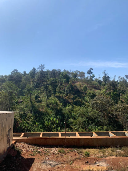 Ethiopia Getachew Zeleke - Washed