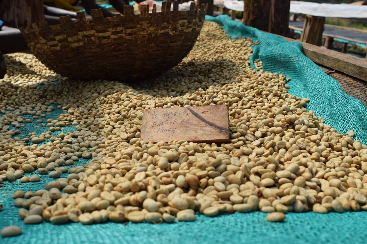 Burundi - Munyinya Hill (Washed)