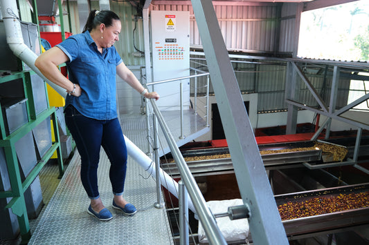 Costa Rica - Las Lajas Micromill (Black Honey)