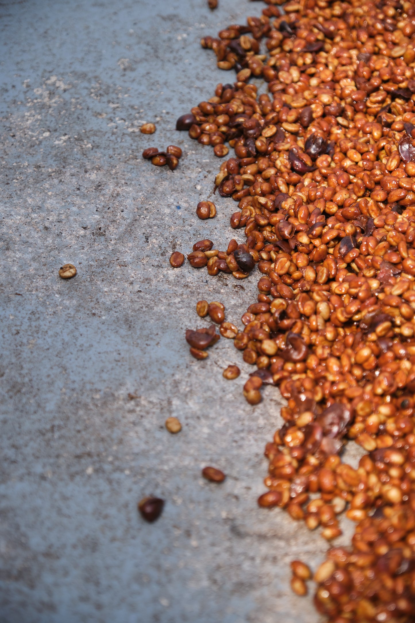 Costa Rica - Las Lajas Micromill (Black Honey)