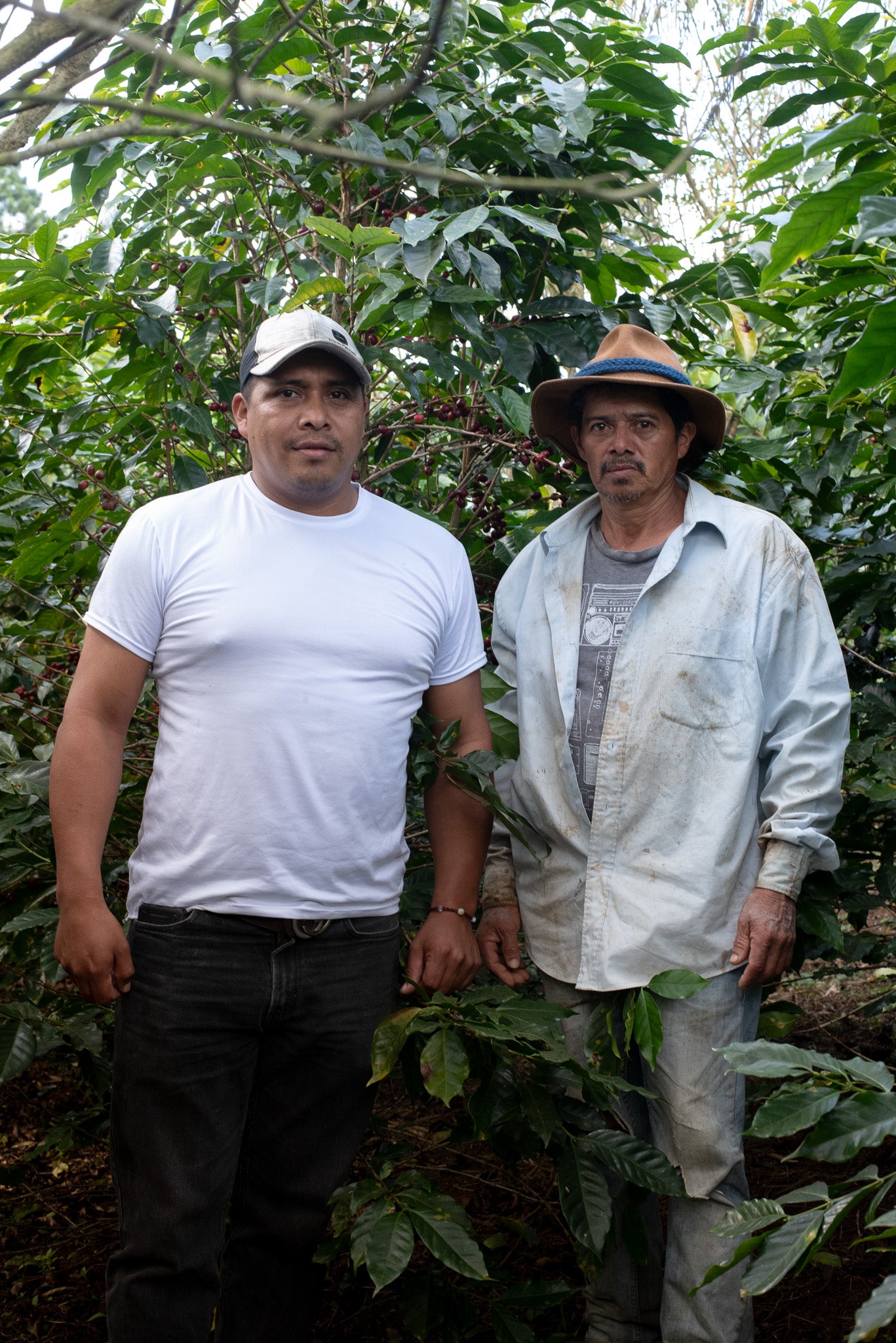 Honduras - Nelson Dominguez Natural