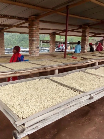 Rwanda - Nyampinga Women's Co-op Washed