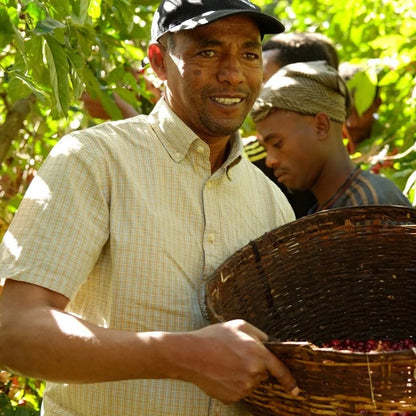 Ethiopia - Tesfaye Bekele (Washed)